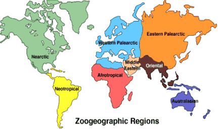 Grandes zones zoogéographiques.
