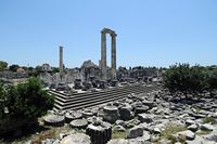 Le site de Didymes en Anatolie. Vue nord-est du temple. Cliquer pour agrandir l'image dans Adobe Stock (nouvel onglet).