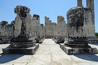 Le site de Didymes en Anatolie. Le pronaos du temple. Cliquer pour agrandir l'image dans Adobe Stock (nouvel onglet).