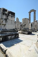 Le site de Didymes en Anatolie. Le pronaos du temple. Cliquer pour agrandir l'image dans Adobe Stock (nouvel onglet).