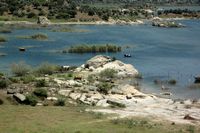 Le site archéologique d'Héraclée en Anatolie. Vaches paissant dans le lac de Bafa. Cliquer pour agrandir l'image dans Adobe Stock (nouvel onglet).