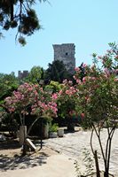 Le château Saint-Pierre à Bodrum en Anatolie. La cour inférieure et la tour d'Italie. Cliquer pour agrandir l'image dans Adobe Stock (nouvel onglet).