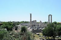 Le site de Didymes en Anatolie. La façade principale du temple. Cliquer pour agrandir l'image.