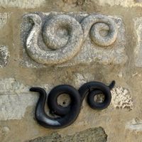 Le château Saint-Pierre à Bodrum en Anatolie. Bas-relief du serpent de la tour d'Espagne (auteur Sailko). Cliquer pour agrandir l'image.