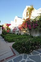L'hôtel Salmakis à Bodrum en Anatolie. Jardins. Cliquer pour agrandir l'image.