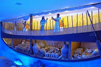 Le musée d'archéologie sous-marine de Bodrum en Anatolie. L'épave d'Uluburun (auteur Sailko). Cliquer pour agrandir l'image.
