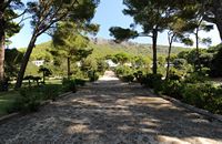 L'hôtel Formentor à Majorque. La rampe d'accès. Cliquer pour agrandir l'image dans Adobe Stock (nouvel onglet).