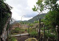 The Charterhouse of Valldemossa - Garden monks cell # 2. Click to enlarge the image.