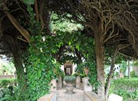 La Chartreuse de Valldemossa à Majorque. Jardin de la cellule n° 4 de la Chartreuse. Cliquer pour agrandir l'image.