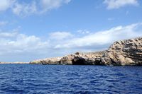 La faune de l'île de Cabrera à Majorque. L'île de sa Conillera. Cliquer pour agrandir l'image.