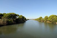 Der Naturpark Albufera auf Mallorca - Der Canal Grande. Klicken, um das Bild zu vergrößern.