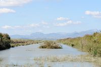 The Albufera Natural Park is in Mallorca - Canal Sol. Click to enlarge the image.