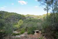 Le Parc naturel de Mondragó à Majorque. Le belvédère de Ses Fonts de n'Alis. Cliquer pour agrandir l'image.