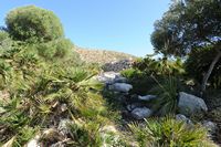 Het Talayotische dorp van de Claper des Gegants in Majorca - De Puinhelling van de Reuzen (Claper des Gegants). Klikken om het beeld te vergroten.