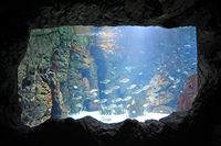 El pueblo de Colonia Sant Jordi Mallorca - Aquarium del Centro de Visitantes de Cabrera. Haga clic para ampliar la imagen.