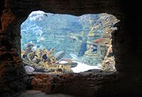 Het dorp Colónia de Sant Jordi in Majorca - Aquarium van het Centrum van de bezoekers van Cabrera. Klikken om het beeld te vergroten.