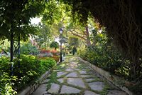 L'hôtel Formentor à Majorque. Les jardins. Cliquer pour agrandir l'image.
