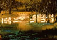 Las cuevas del dragón en Mallorca - Cuevas del Dragón. Haga clic para ampliar la imagen.