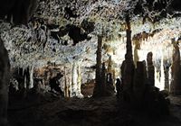 Caves Harpunen (Schinken) in Mallorca - Hall of Eulen. Klicken, um das Bild zu vergrößern.