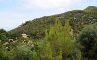 A cidade de Banyalbufar em Maiorca - Culturas em terraços à Banyalbufar. Clicar para ampliar a imagem.