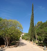 Raixa la finca en Mallorca - jardines de acceso. Haga clic para ampliar la imagen.