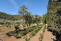 De finca Raixa in Majorca - De sinaasappelplantage. Klikken om het beeld te vergroten.