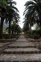 Les jardins d'Alfàbia à Majorque. Escalier des jardins d'Alfàbia. Cliquer pour agrandir l'image.