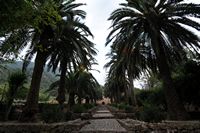 De tuinen van Alfàbia in Majorca - Trappen van de tuinen van Alfàbia. Klikken om het beeld te vergroten.