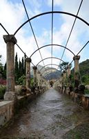 De tuinen van Alfàbia in Majorca - Grote pergola van de tuinen van Alfàbia. Klikken om het beeld te vergroten.