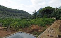 De tuinen van Alfàbia in Majorca - Oranjerie van de finca Alfàbia. Klikken om het beeld te vergroten.