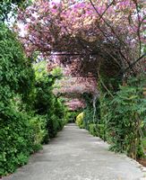 Les jardins d'Alfàbia à Majorque. Petite pergola des jardins d'Alfàbia. Cliquer pour agrandir l'image.