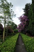 Os jardins de Alfàbia em Maiorca - Jardins de Alfàbia. Clicar para ampliar a imagem.