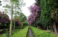 Os jardins de Alfàbia em Maiorca - Jardins de Alfàbia. Clicar para ampliar a imagem.