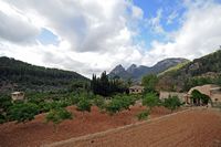 Les jardins d'Alfàbia à Majorque. Domaine d'Alfàbia. Cliquer pour agrandir l'image.