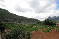 Os jardins de Alfàbia em Maiorca - Domínio de Alfàbia. Clicar para ampliar a imagem.