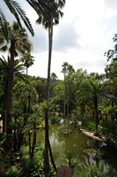 Os jardins de Alfàbia em Maiorca - Lago dos jardins de Alfàbia. Clicar para ampliar a imagem.