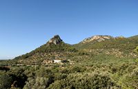 La ciudad de Bunyola en Mallorca - Finca cerca de Bunyola. Haga clic para ampliar la imagen.