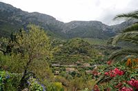 El pueblo de Deia en Mallorca - Vista Deia del casco antiguo. Haga clic para ampliar la imagen.