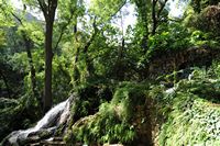 Torrent Its Granja Esporles. Click to enlarge the image.
