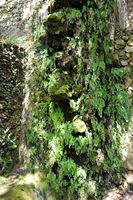 Waterfall of the old flour mill in Sa Granja Esporles. Click to enlarge the image.