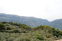 La ville de Fornalutx à Majorque. Serra d'Alfàbia. Cliquer pour agrandir l'image.