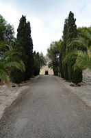 Das Heiligtum von Bonany Petra Mallorca - Auffahrt Aufstieg Heiligtum. Klicken, um das Bild zu vergrößern.