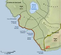 De stad Ses Salines in Majorca - Kaart van de Kaap van Zijn Salines. Klikken om het beeld te vergroten.