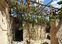 La finca Els Calderers de Sant Joan à Majorque. Calebasses (Lagenaria siceraria) dans le jardin du manoir. Cliquer pour agrandir l'image.