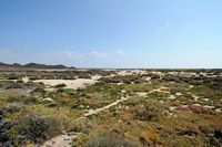 Het eiland van Los Lobos in Fuerteventura. Las Lagunitas. Klikken om het beeld te vergroten in Adobe Stock (nieuwe tab).