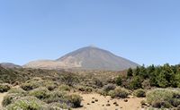Het Nationaal Park van de Teide in Tenerife. De Pico del Teide gezien vanaf de botanische tuin. Klikken om het beeld te vergroten in Adobe Stock (nieuwe tab).