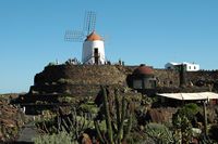 Le Jardin de Cactus à Guatiza à Lanzarote. Le moulin du Jardin de Cactus. Cliquer pour agrandir l'image dans Adobe Stock (nouvel onglet).