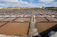 El pueblo de Las Salinas del Carmen en Fuerteventura. El cuencas de cristalización (claveles) sal. Haga clic para ampliar la imagen en Adobe Stock (nueva pestaña).