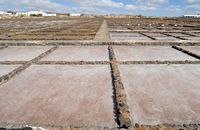 The village of Las Salinas del Carmen in Fuerteventura. The crystallization basins (carnations) salt. Click to enlarge the image in Adobe Stock (new tab).