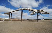 A aldeia de Las Salinas del Carmen em Fuerteventura. Um esqueleto de baleia fin no Museu do Sal. Clicar para ampliar a imagem em Adobe Stock (novo guia).